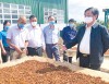 Bộ trưởng Lê Minh Hoan (bìa phải) thăm HTX nông nghiệp và dịch vụ Nam Yang, huyện Đak Đoa. Ảnh: Lê Nam