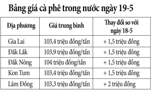 Giá cà phê trong nước tăng 1,5-2 triệu đồng/tấn